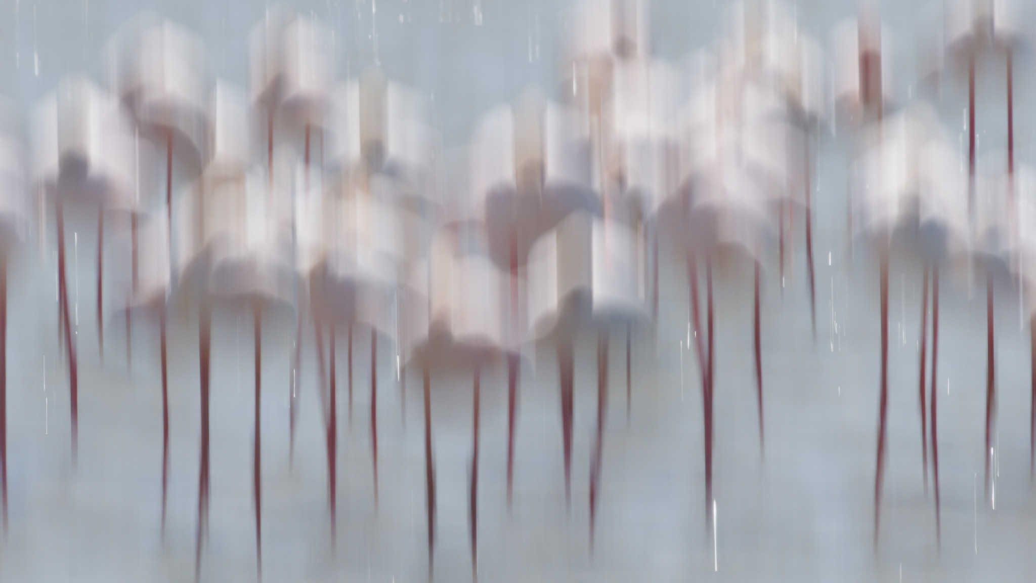 18.04.2024 Camargue Tag 6