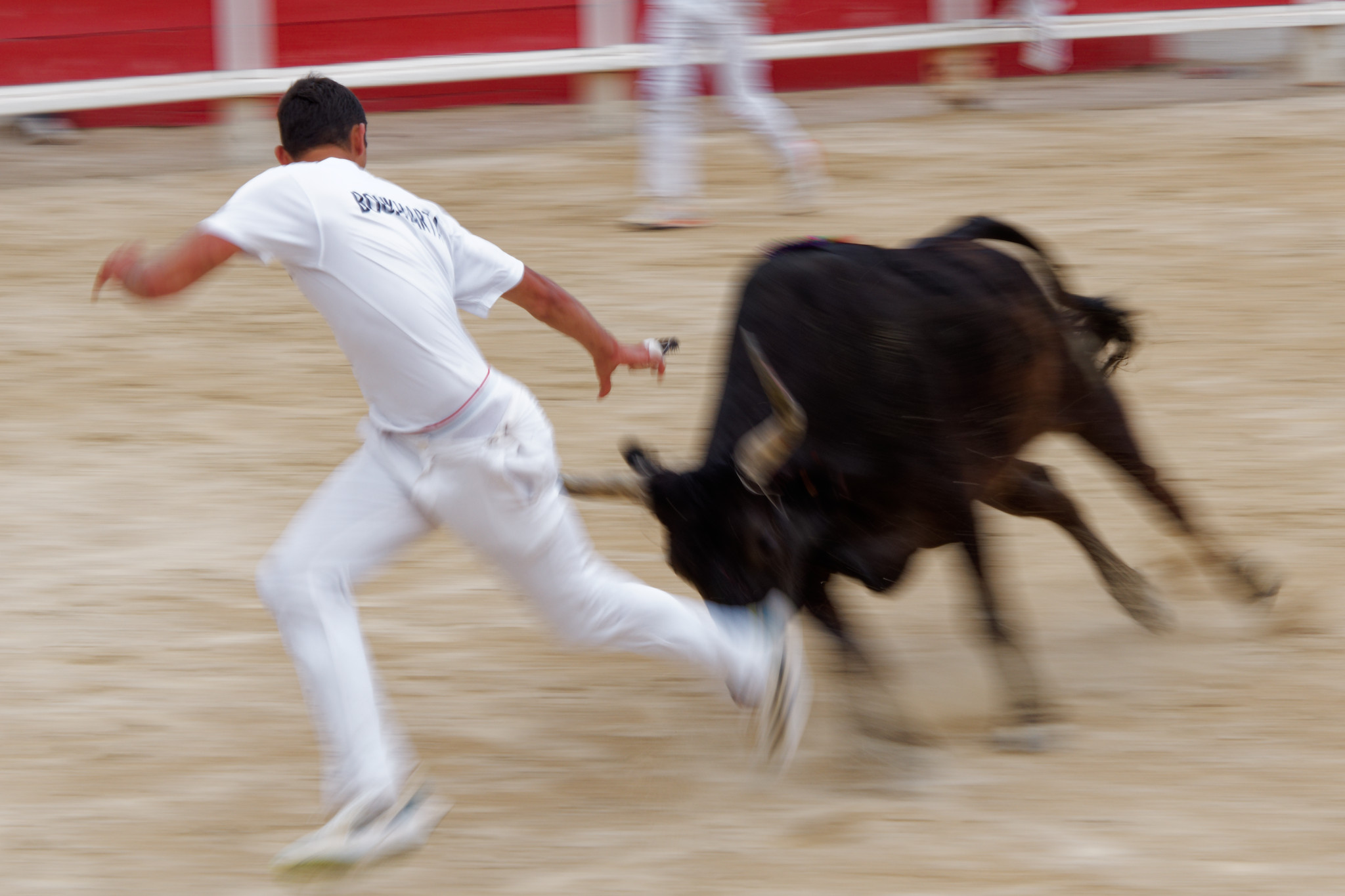 17.04.2024 Camargue Tag 5