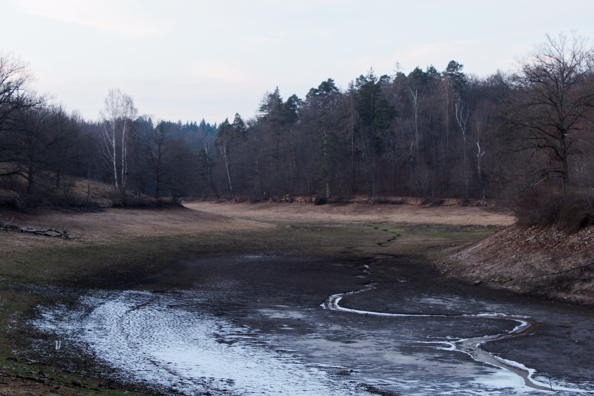 07.02.2025 Stuttgart: Der Bärensee ist weg!